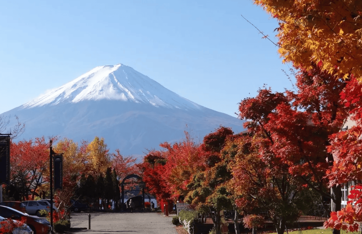 9月必去旅游国家｜1. 日本